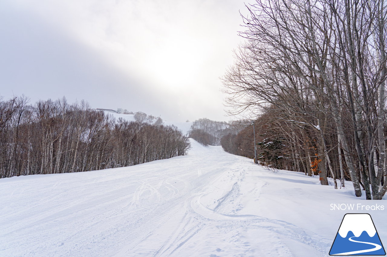 小樽天狗山スキー場｜積雪160cm！例年以上の積雪量でゲレンデはコンディションは最高です！ただいま『天狗山の雪あかり』も開催中(^_-)-☆